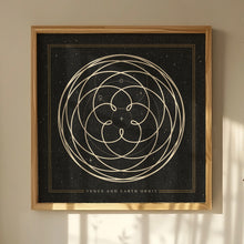 Load image into Gallery viewer, Venus Rose