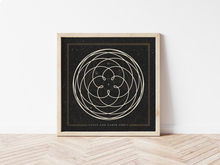 Load image into Gallery viewer, Venus Rose