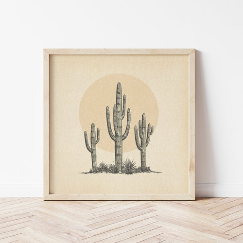 Saguaro Sun